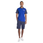Preview: PADDOCK BLUE HERREN TEAMSHORTS