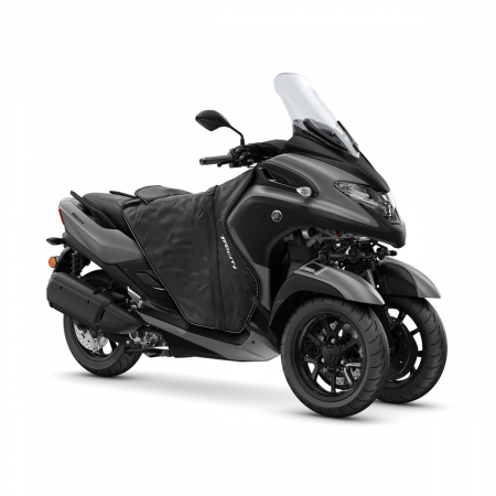 Tricity 300 Winter Paket