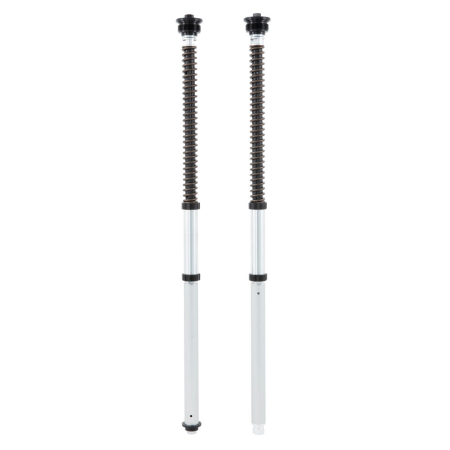 Öhlins-Cartridge-Kit Race – NIX 22 USD- R3