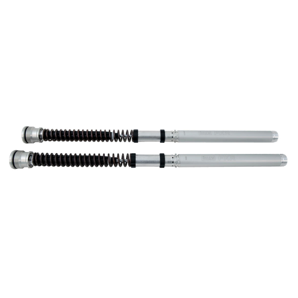 Öhlins Cartridge-Kit- R1M