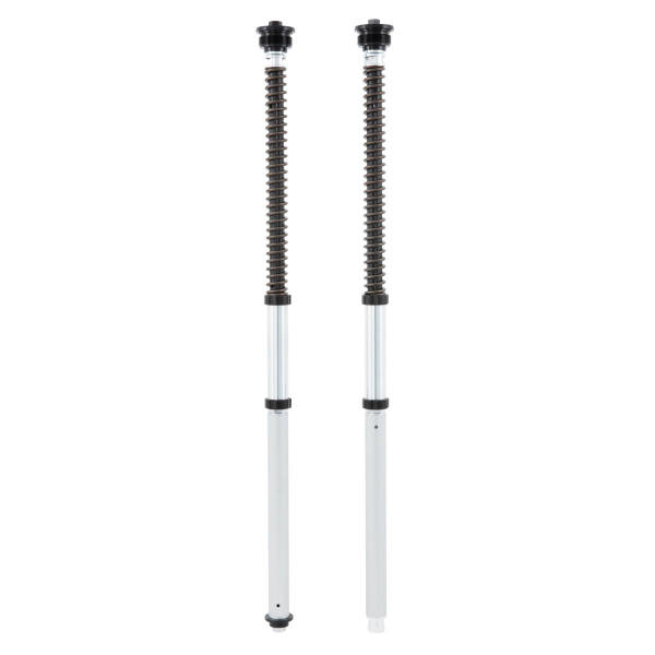 Öhlins-Cartridge-Kit Race – NIX 22 USD- R3