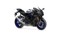 R1M -  (Icon Performance)
