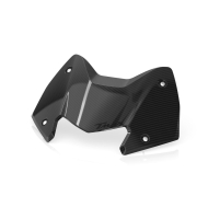 Carbon-Visier TMAX